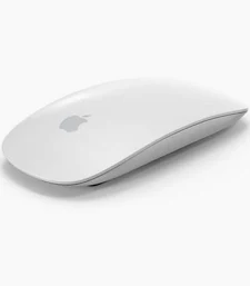 magic mouse